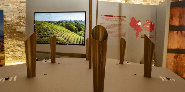 Musei del vino: il nuovo Museo del Ruchè di Castagnole Monferrato