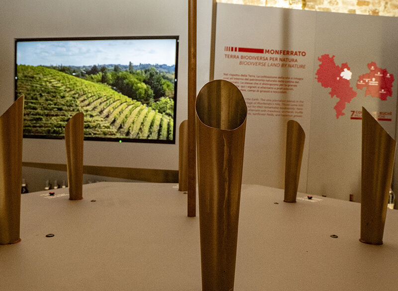 Musei del vino: il nuovo Museo del Ruchè di Castagnole Monferrato