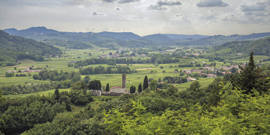 La Doc Friuli Colli Orientali propone un nuovo modello di comunicazione