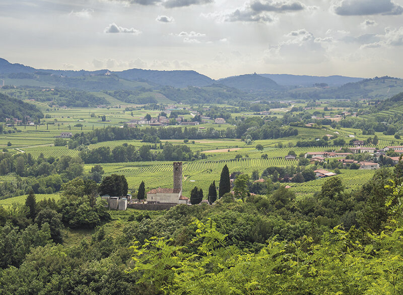 La Doc Friuli Colli Orientali propone un nuovo modello di comunicazione
