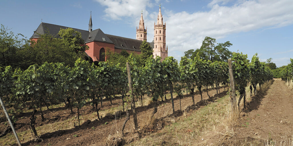 Il Rinascimento della Rheinhessen