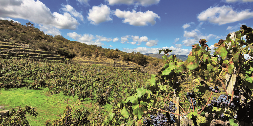 L’Etna va alla scalata della Docg