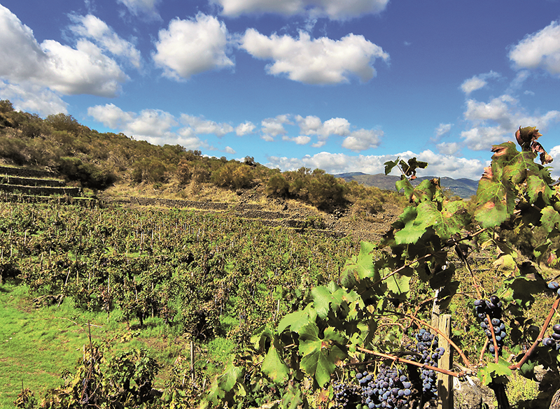 L’Etna va alla scalata della Docg