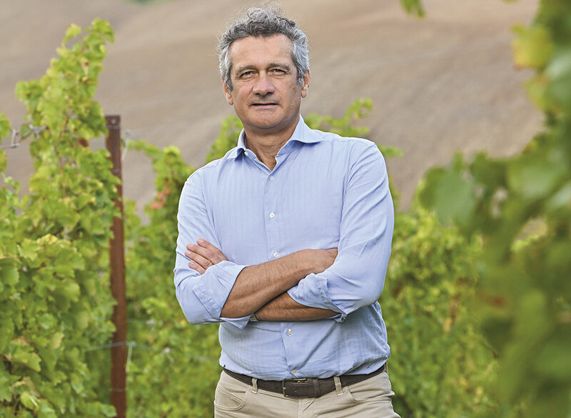 Michele Bernetti racconta la scalata del Verdicchio