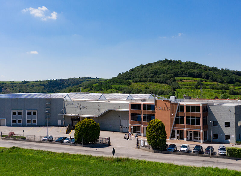 Sartori di Verona e Riondo insieme sotto l’egida di Collis Veneto Wine Group
