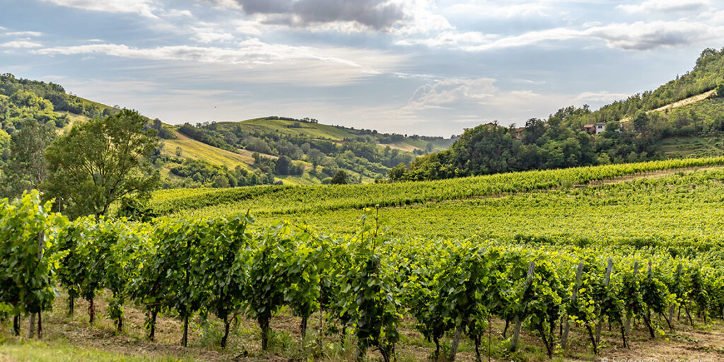 Oltrepò Pavese: investimenti e nuove opportunità da sfruttare