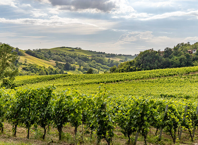 Oltrepò Pavese: investimenti e nuove opportunità da sfruttare