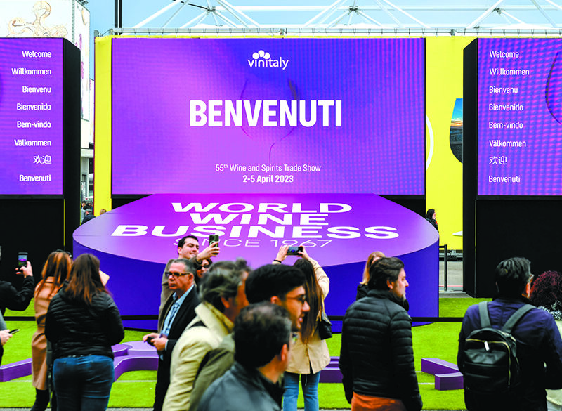 Aspettando Vinitaly 2024, agorà del wine business