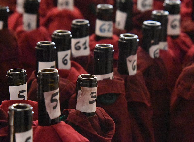 Amarone Opera Prima 2024: i nostri migliori assaggi