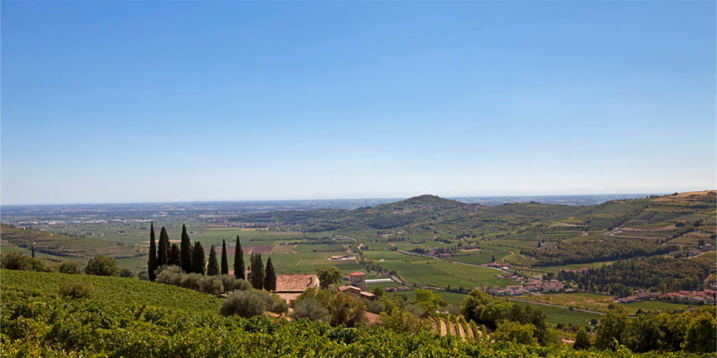 Vignaioli Valle di Mezzane: 13 produttori tra Valpolicella e Soave