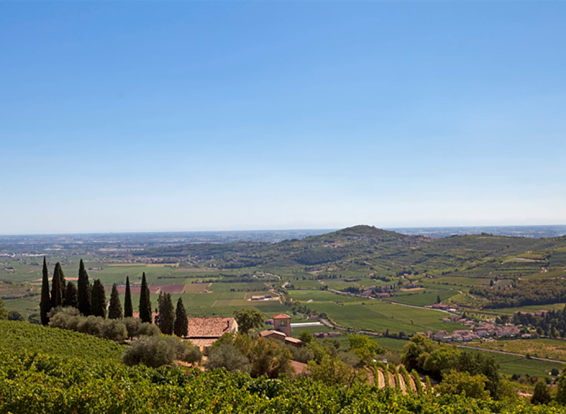Vignaioli Valle di Mezzane: 13 produttori tra Valpolicella e Soave