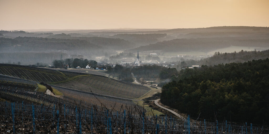 Domaine Alexandre Bonnet, la quintessenza di Les Riceys e della Côte des Bar