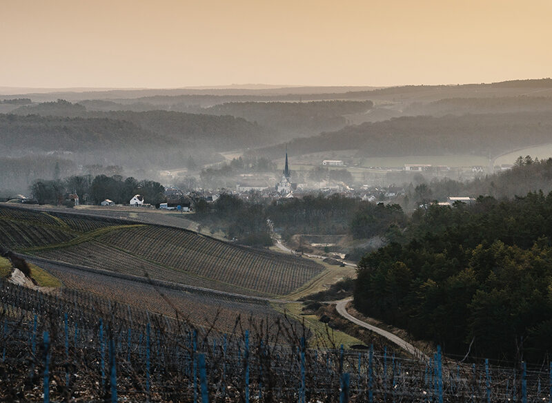 Domaine Alexandre Bonnet, la quintessenza di Les Riceys e della Côte des Bar