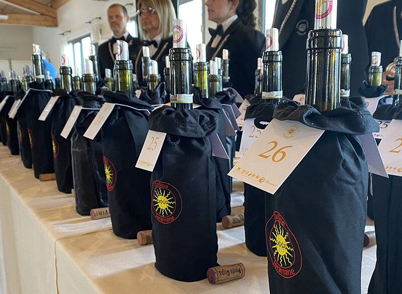 Focus Montepulciano d’Abruzzo, i nostri migliori assaggi