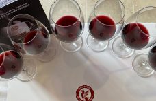 Anteprima Vino Nobile di Montepulciano: 30 anni di storia e 6,9 milioni di bottiglie all’anno