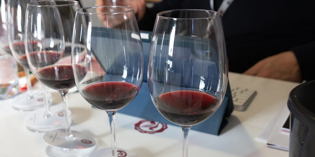 Anteprima del Vino Nobile di Montepulciano: i nostri migliori assaggi