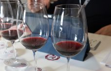 Anteprima del Vino Nobile di Montepulciano: i nostri migliori assaggi