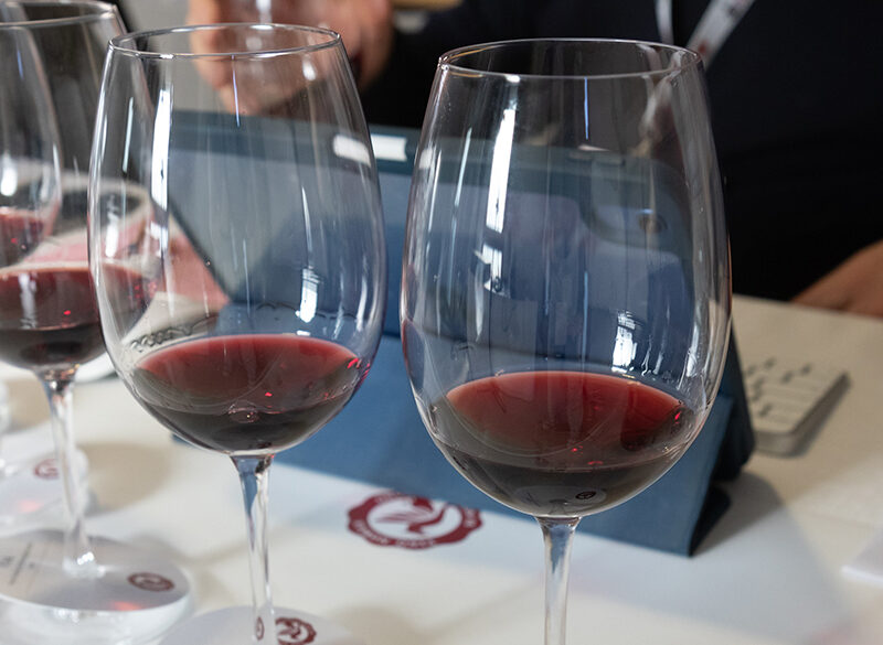 Anteprima del Vino Nobile di Montepulciano: i nostri migliori assaggi