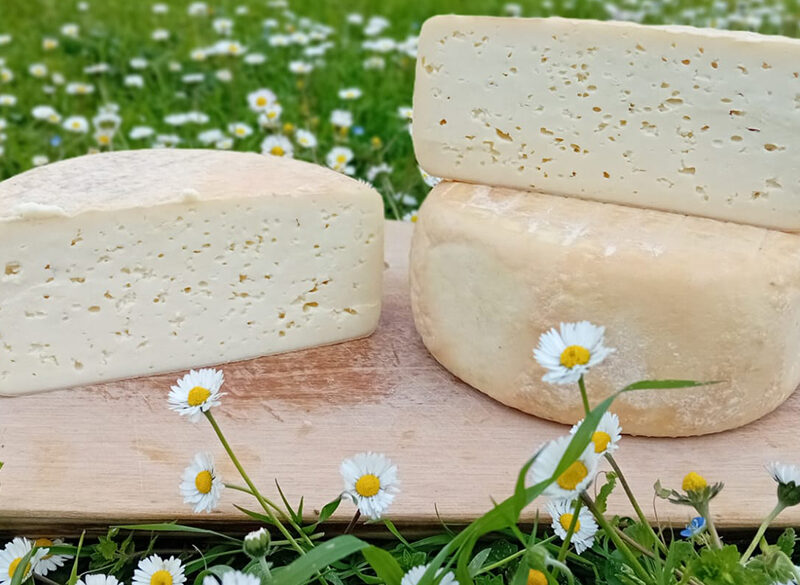 Formaggi d’Italia: il Marzolino porta con sé il gusto delle erbe nuove