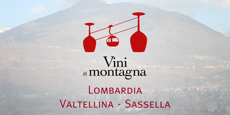 Vini di Montagna (5): la Valtellina – sottozona Sassella