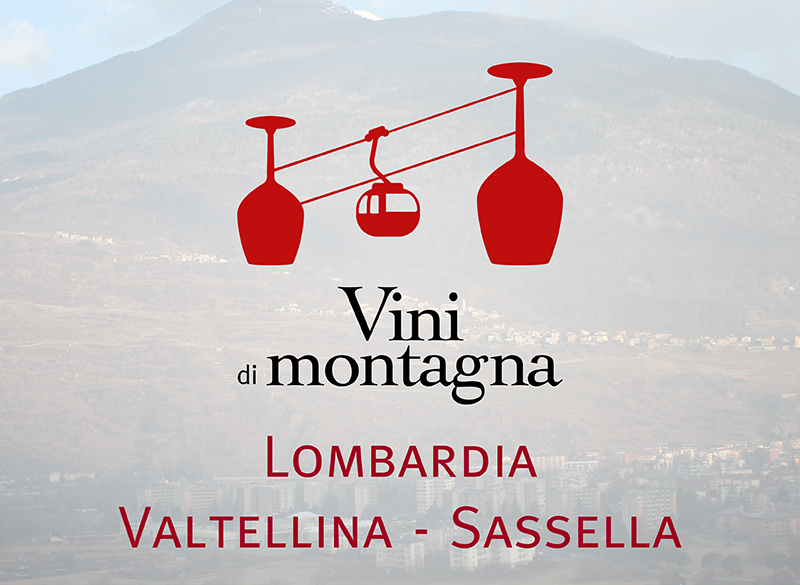 Vini di Montagna (5): la Valtellina – sottozona Sassella