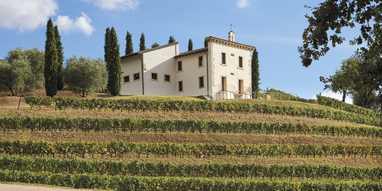 50 anni di storia del vino: Angelini Wines & Estates, fedeli interpreti dell’unicità del territorio