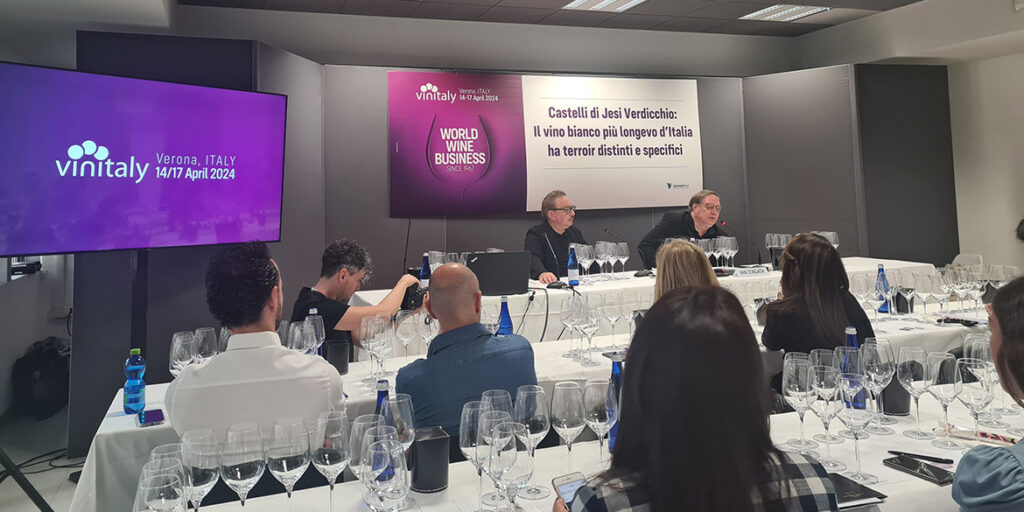 Diversità e longevità del Verdicchio dei Castelli di Jesi