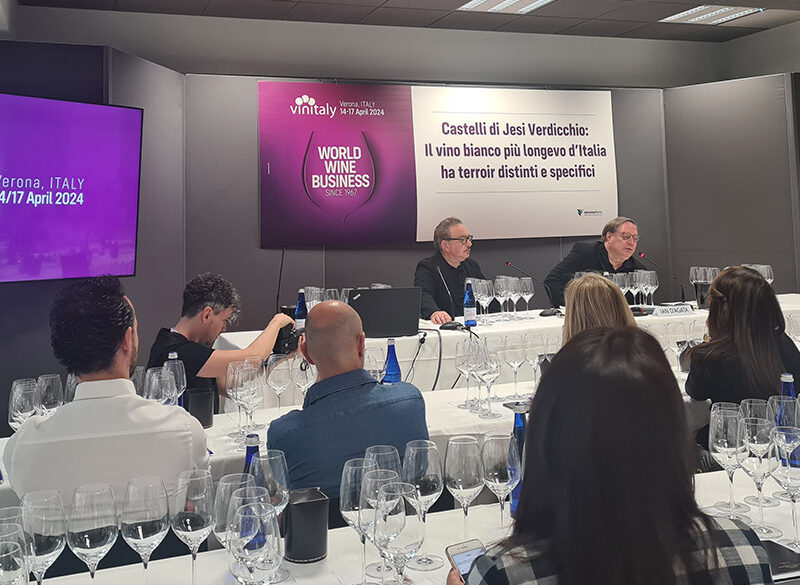 Diversità e longevità del Verdicchio dei Castelli di Jesi