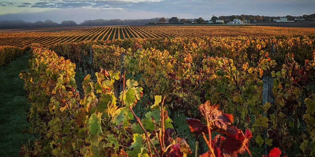 Bordeaux chiede un sistema di “giusta remunerazione”