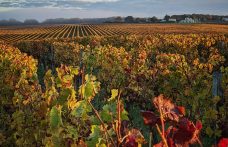 Bordeaux chiede un sistema di “giusta remunerazione”