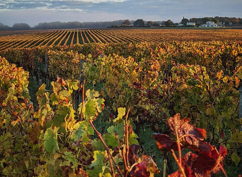 Bordeaux chiede un sistema di “giusta remunerazione”