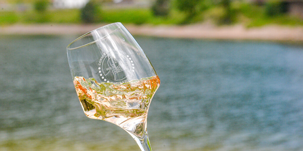 I numeri del fenomeno Pinot grigio delle Venezie