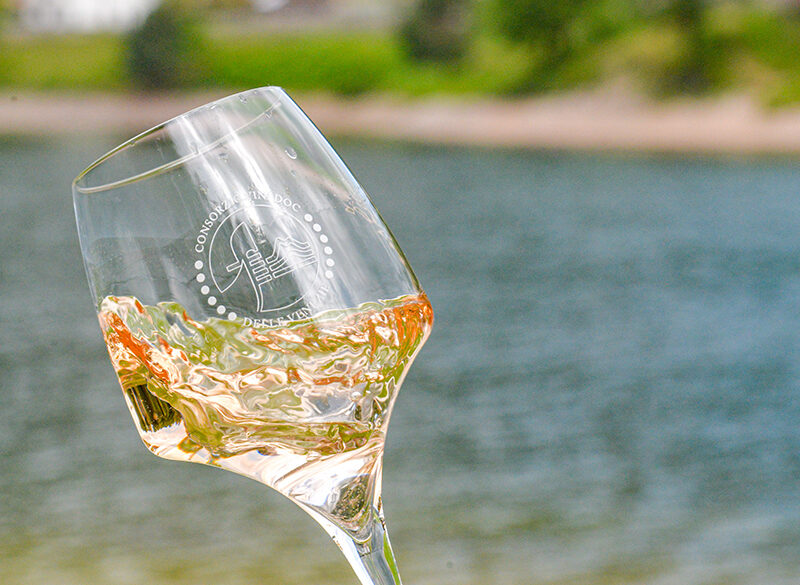 I numeri del fenomeno Pinot grigio delle Venezie