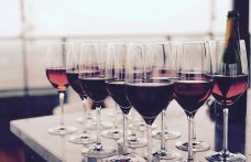 La “lingua elettronica” può rivoluzionare il controllo di qualità del vino