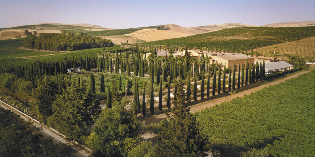 50 anni di storia del vino: Donnafugata, l’impegno sartoriale delle piccole produzioni