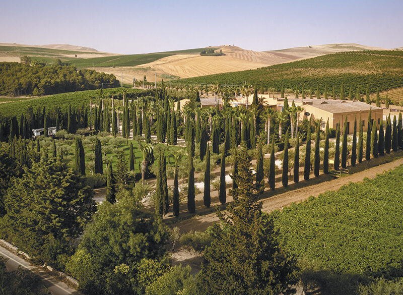 50 anni di storia del vino: Donnafugata, l’impegno sartoriale delle piccole produzioni