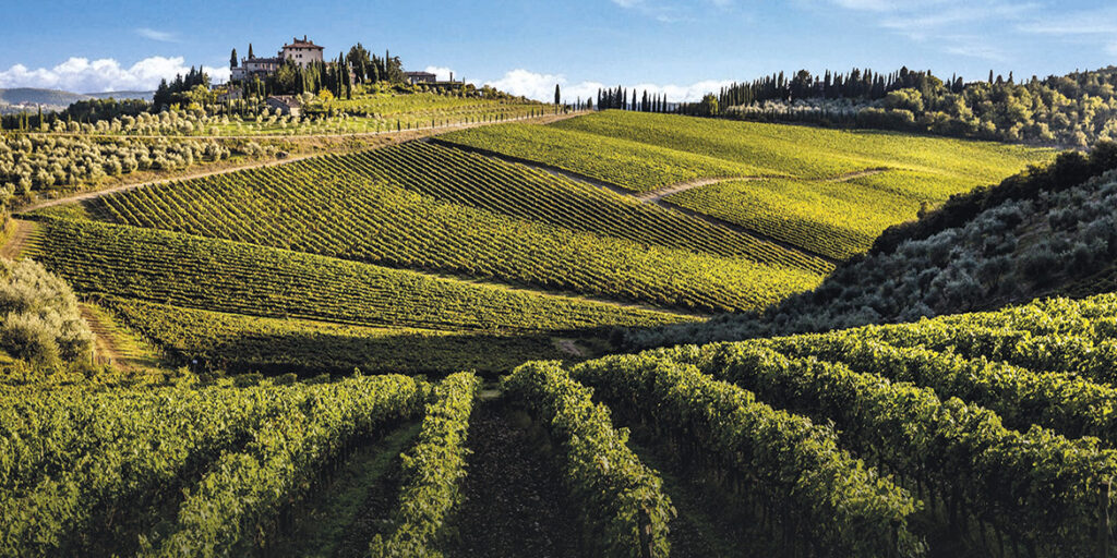 50 anni di storia del vino: Marchesi Frescobaldi, alla scoperta dell’anima di un territorio