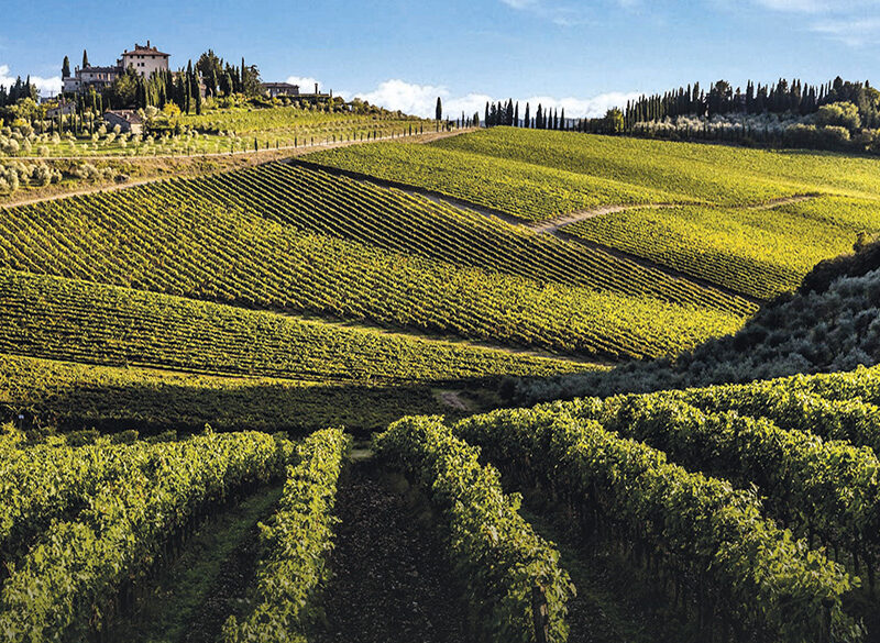 50 anni di storia del vino: Marchesi Frescobaldi, alla scoperta dell’anima di un territorio