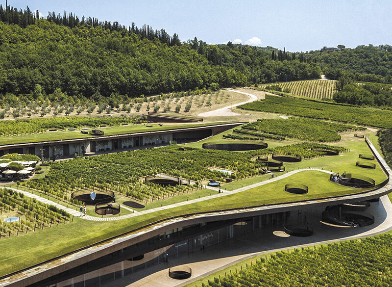 50 anni di storia del vino: Marchesi Antinori, la continua evoluzione in armonia con la natura