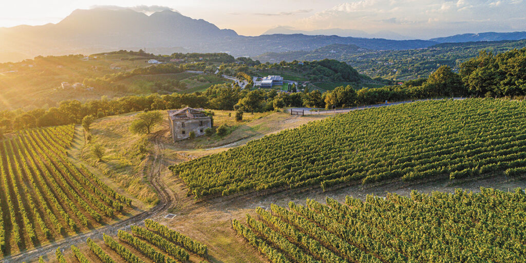 50 anni di storia del vino: Feudi di San Gregorio, la grande determinazione nella ricerca dell’eccellenza