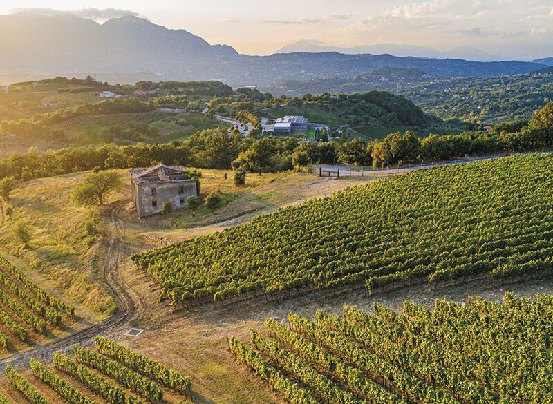 50 anni di storia del vino: Feudi di San Gregorio, la grande determinazione nella ricerca dell’eccellenza