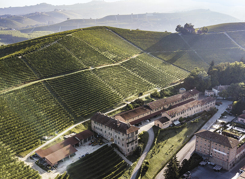 50 anni di storia del vino: Fontanafredda, il valore del terroir una grande intuizione