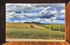 50 anni di storia del vino: Carpineto, il sogno realizzato di rappresentare la Toscana