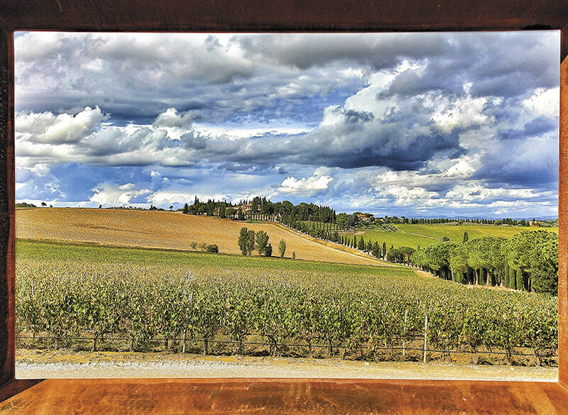 50 anni di storia del vino: Carpineto, il sogno realizzato di rappresentare la Toscana