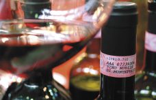 50 anni di storia del vino: le tappe legislative, dai vini tipici alle Uga