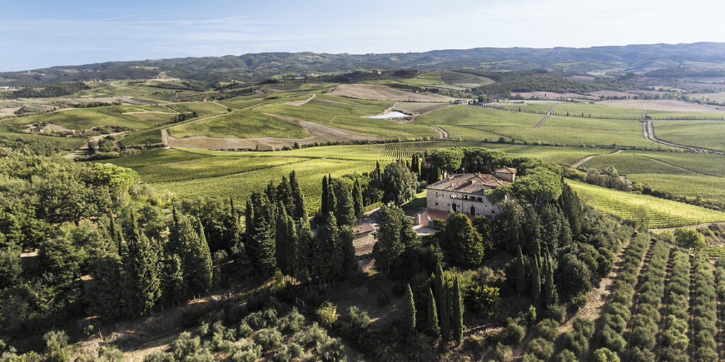 50 anni di storia del vino: Cecchi, un inno alla diversità