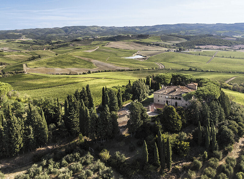 50 anni di storia del vino: Cecchi, un inno alla diversità