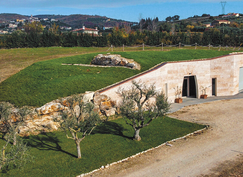 50 anni di storia del vino: Elèva, l’eleganza dei lunghi affinamenti. Nel nome la missione