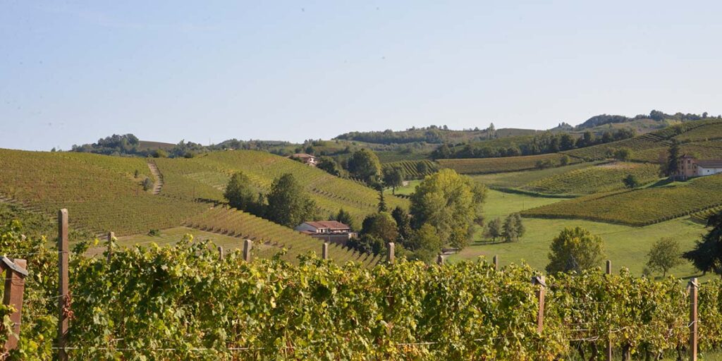 Dieci anni di Nizza Docg, un cammino verso l’eccellenza della Barbera