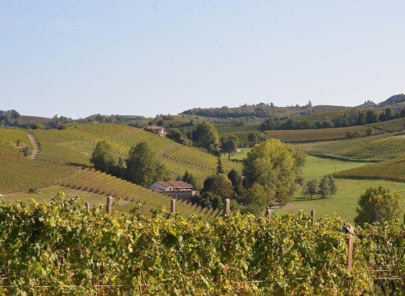 Dieci anni di Nizza Docg, un cammino verso l’eccellenza della Barbera